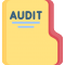 No Auditing Every Year